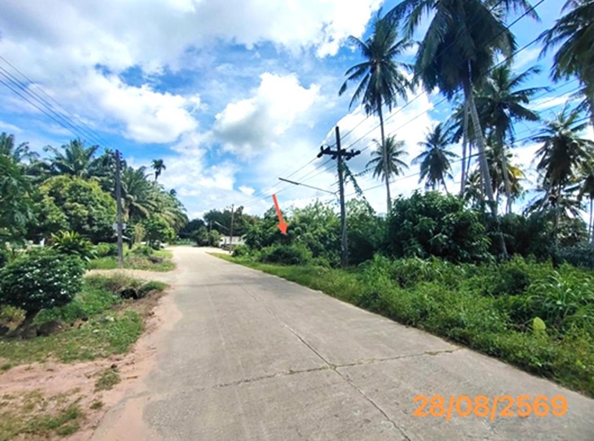 picture LAND 106 Sq.w. Khlong Thom Krabi for 679,000 - 14/19