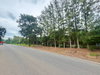 listing thumbnail image 83