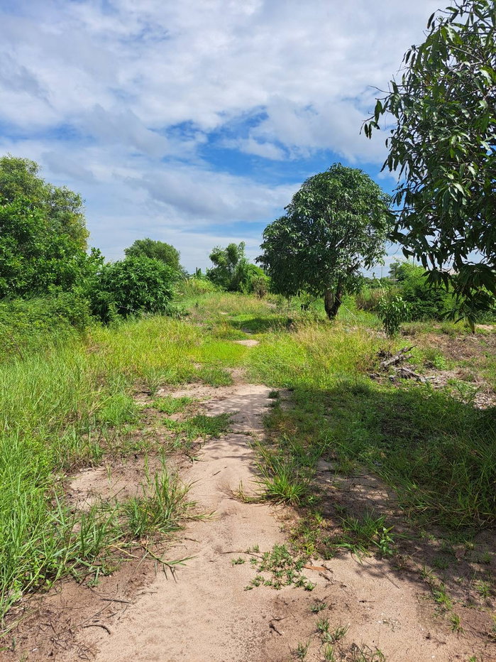 picture 7 Rai Land for Sale, Phanat Nikhom, Chon Buri, Ready for Sufficiency Economy - 2/11