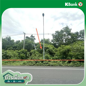 picture LAND 10253 Sq.w. Kham Khuan Kaeo Yasothon for 13.1M - 15/17