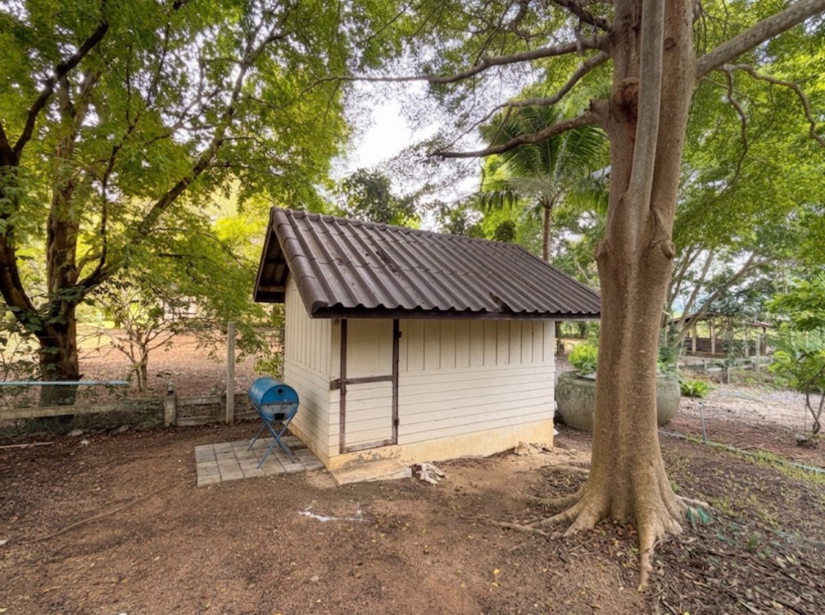 รูป ขายบ้านตากอากาศพร้อมบ้านต้นไม้ บนที่ดิน 2 ไร่ ปากช่อง - รูปที่ 15/89
