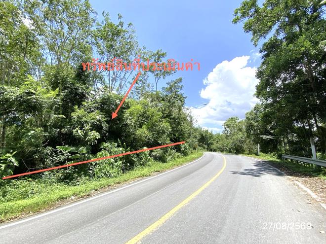 รูป ที่ดินว่างเปล่า 3040 ตร.วา ฉวาง นครศรีธรรมราช 3.8M - รูปที่ 4/21