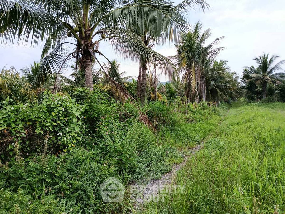 รูป ขายที่ดินทำเลอ่าวน้อย อำเภอเมืองประจวบคีรีขันธ์ (ID 3369716) - รูปที่ 4/5