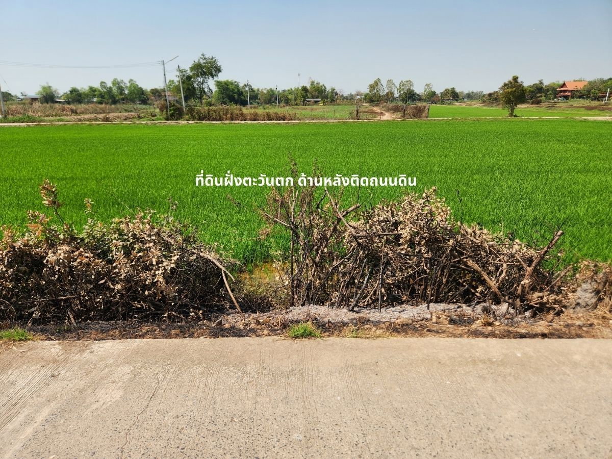 รูป 95682 - ขาย ที่ดิน 9-3-04 ไร่ ติดถนนคอนกรีต ใกล้ อบต.กระแชง อ.บางไทร - รูปที่ 3/10