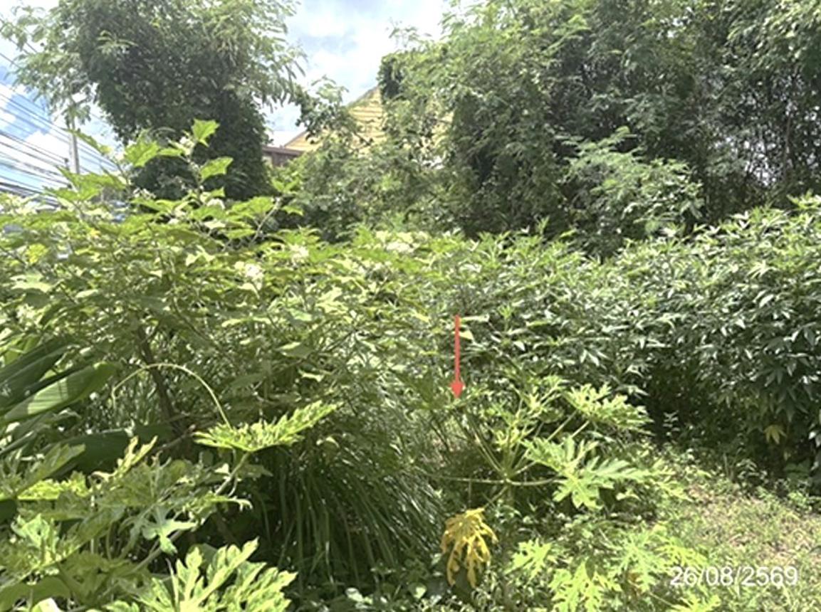 picture LAND 154.2 Sq.w. Warin Chamrap Ubon Ratchathani for 6.9M - 15/23