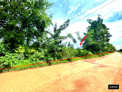 LAND 4600 Sq.w. Phon Na Kaeo Sakon Nakhon for 3.9M