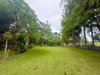 listing thumbnail image 81