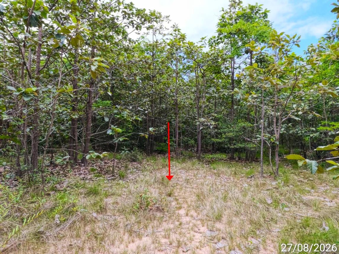 picture LAND 1817 Sq.w. Kae Dam Maha Sarakham for 1.4M - 12/17