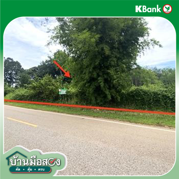 picture LAND 9195 Sq.w. Nongkai for 5.5M - 23/25