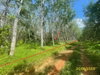 listing thumbnail image 14