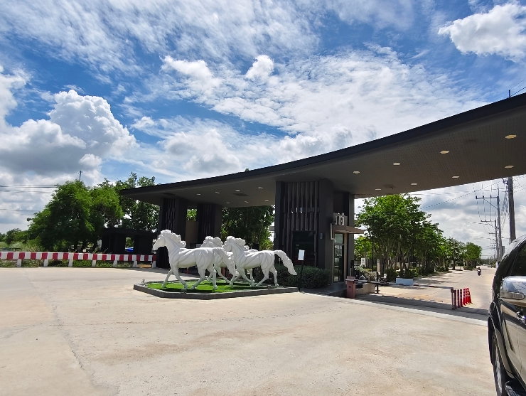 รูป ขายบ้านพานทอง แสนมณี เนเจอร์ ใกล้อมตะ Modern Luxury 50 ตร.ว น้ำไม่ท่วม - รูปที่ 2/17