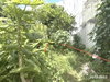 listing thumbnail image 3