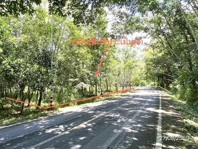 รูป ที่ดินว่างเปล่า 3040 ตร.วา ฉวาง นครศรีธรรมราช 3.8M - รูปที่ 2/21