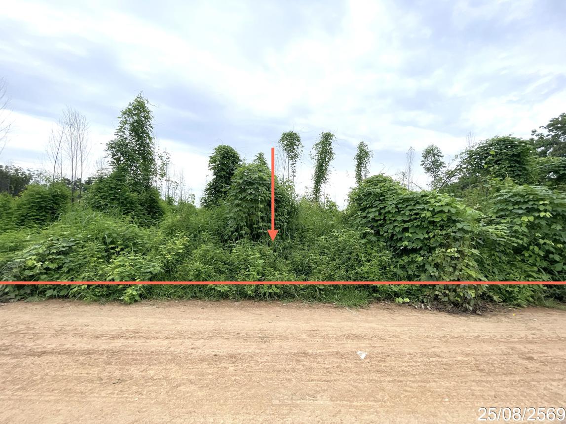 รูป ที่ดินว่างเปล่า 8869 ตร.วา หนองไผ่ เพชรบูรณ์ 3.3M - รูปที่ 8/17