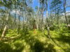 listing thumbnail image 7