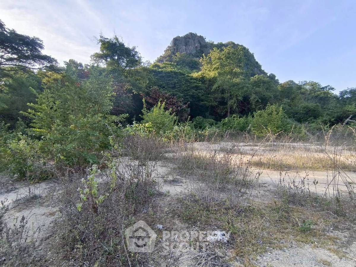 รูป ที่ดินสำหรับปล่อยขาย 7,180 ตารางเมตร แถว ใน เขาใหญ่ (ID 3367277) - รูปที่ 5/10