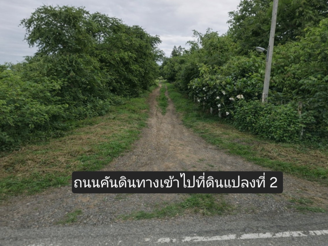 รูป 95431 - ขายที่ดินแปลงใหญ่พร้อมบ่อน้ำ 53 ไร่ ติดถนน (ใกล้ถนน 3064) ต.โคกพุทรา อ.โพธิ์ทอง จ.อ่างทอง โฉนดพร้อมโอนทันที เหมาะสำหรับ ทำฟาร์ม เกษตรกรรม - รูปที่ 5/10