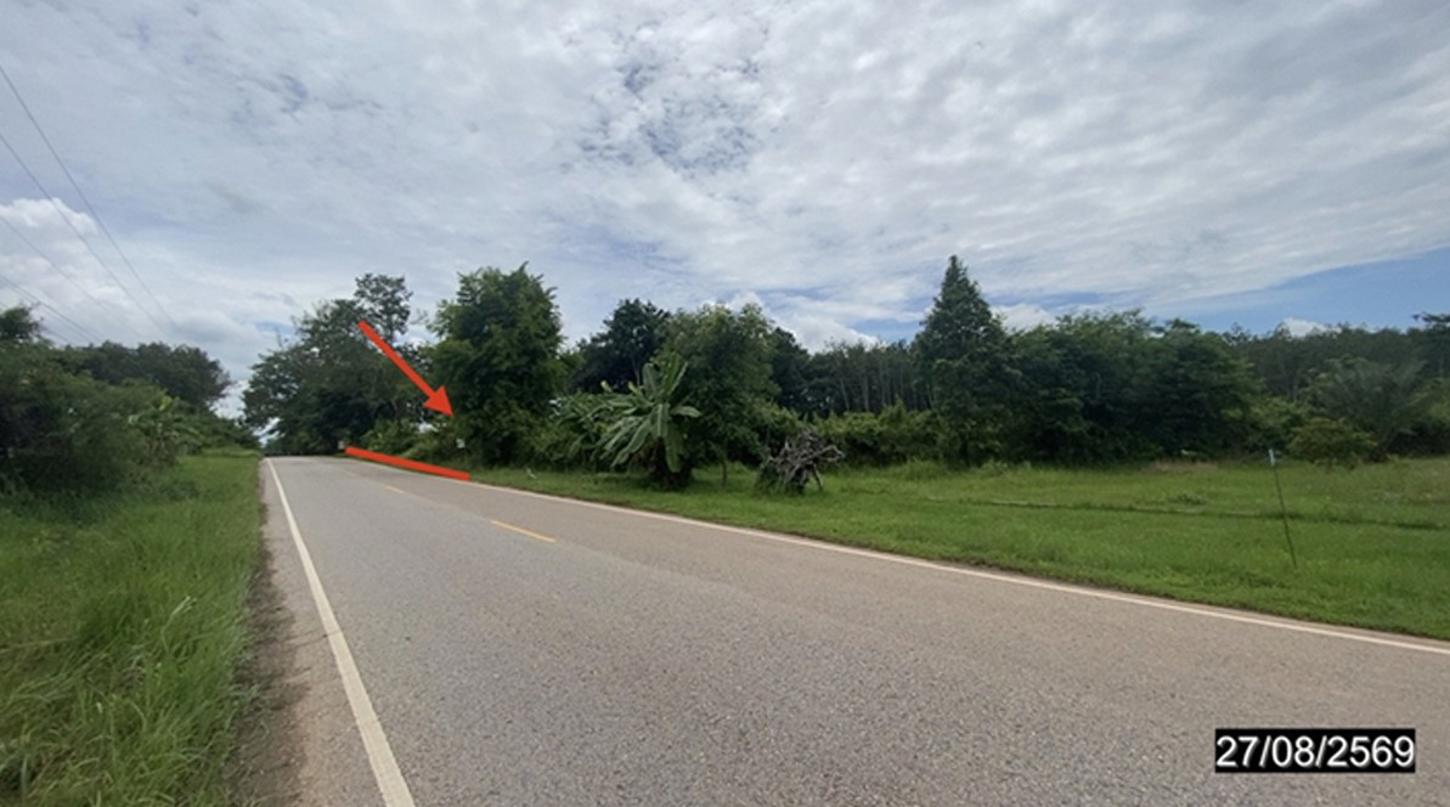 picture LAND 9195 Sq.w. Nongkai for 5.5M - 21/25