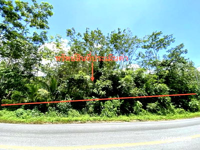 Land for sale : LAND 3040 Sq.w. Chawang Nakhon Sri Thammarat for 3.8M
