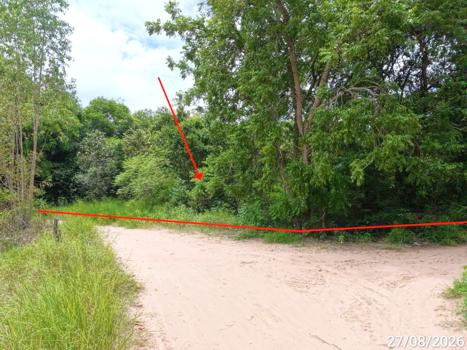 picture LAND 1817 Sq.w. Kae Dam Maha Sarakham for 1.4M - 14/17