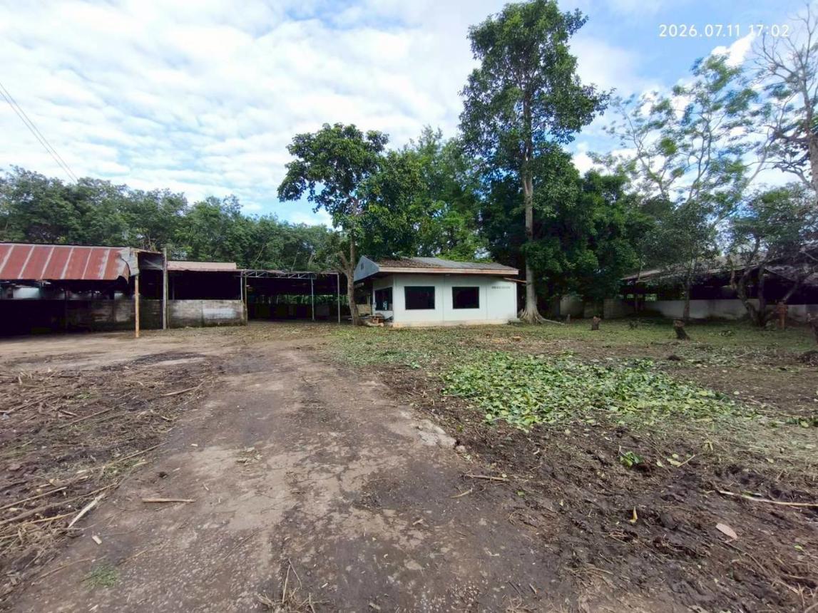 รูป บ้านเดี่ยว 2082 ตร.วา แม่จัน เชียงราย 4.8M - รูปที่ 42/47