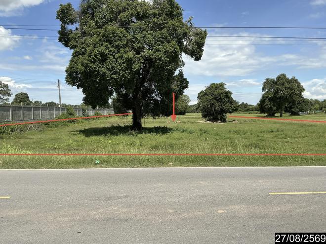 picture LAND 10404 Sq.w. Bua Yai Nakhon Ratchasima for 19.8M - 4/25