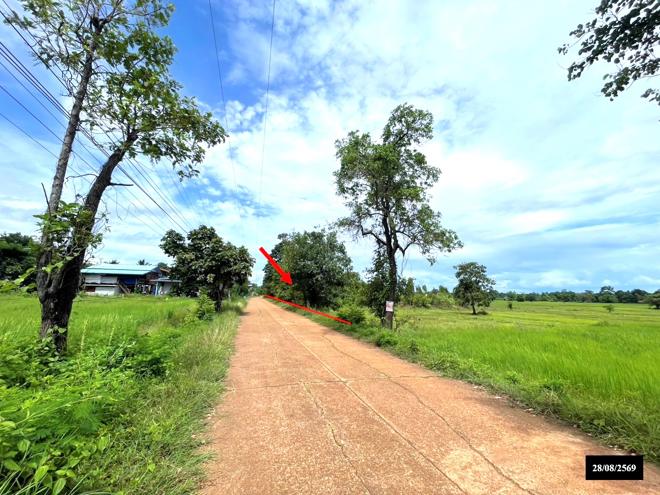 picture LAND 4600 Sq.w. Phon Na Kaeo Sakon Nakhon for 3.9M - 2/15