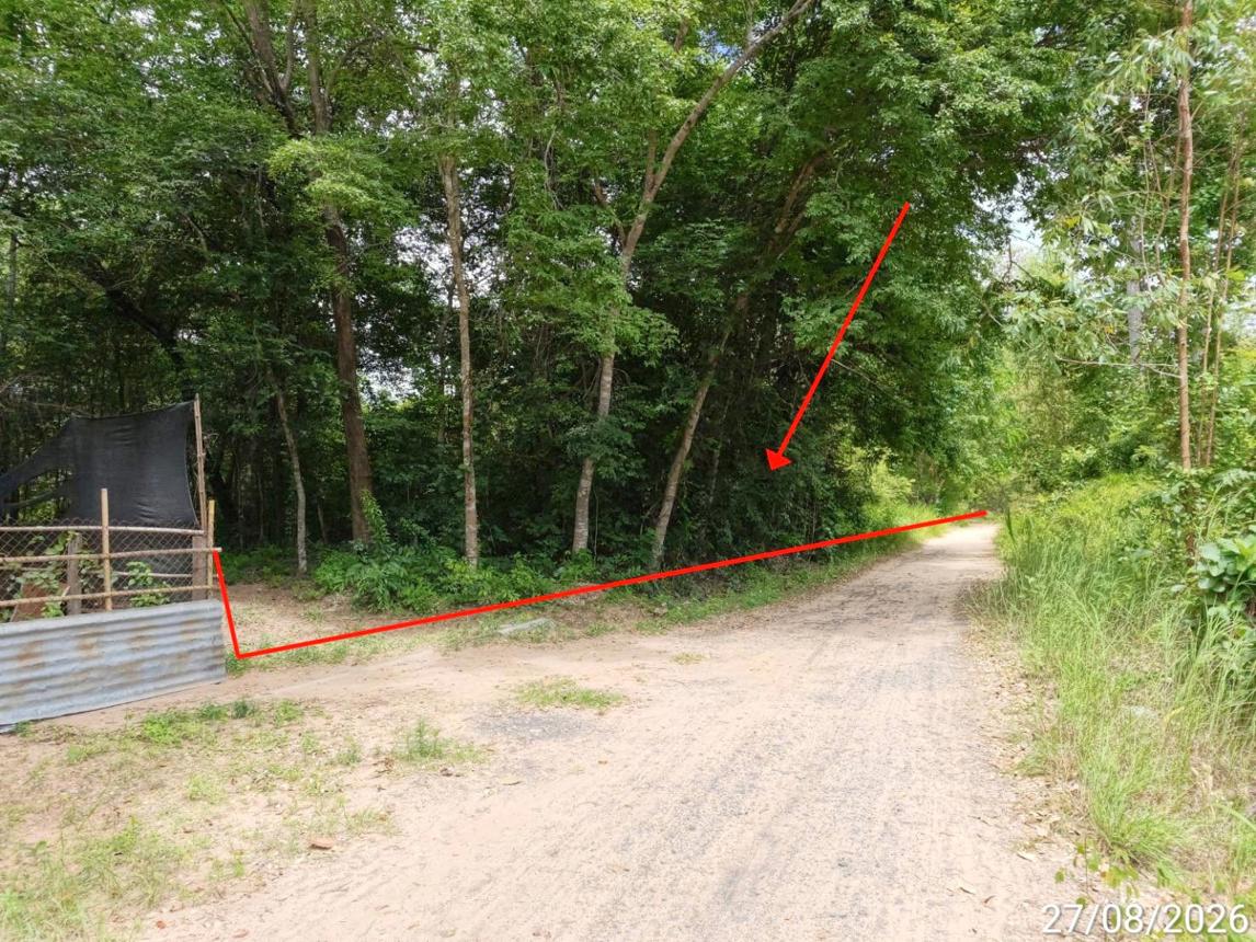 picture LAND 1817 Sq.w. Kae Dam Maha Sarakham for 1.4M - 9/17