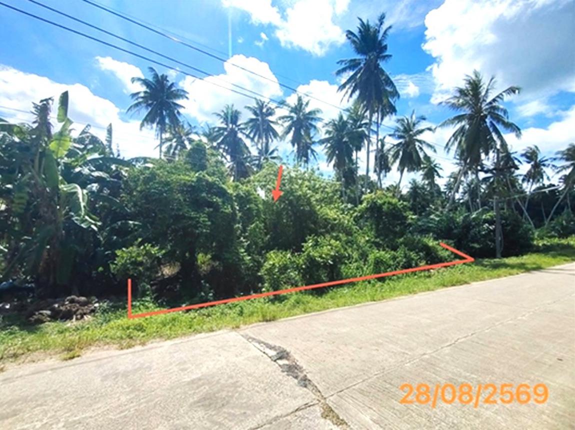 picture LAND 106 Sq.w. Khlong Thom Krabi for 679,000 - 11/19
