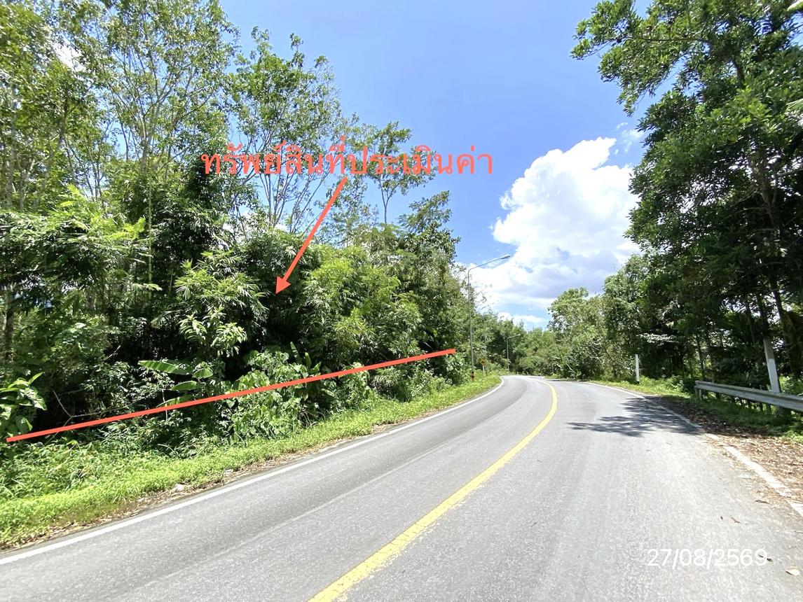 รูป ที่ดินว่างเปล่า 3040 ตร.วา ฉวาง นครศรีธรรมราช 3.8M - รูปที่ 12/21