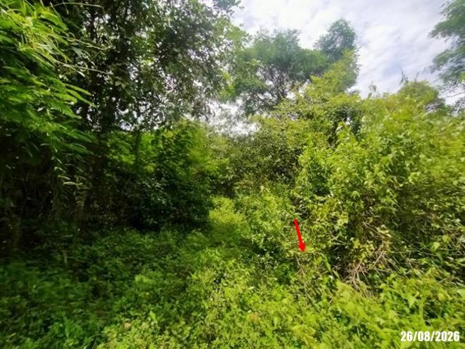 picture LAND 780 Sq.w. Muang Udon Thani Udon Thani for 2.3M - 8/21