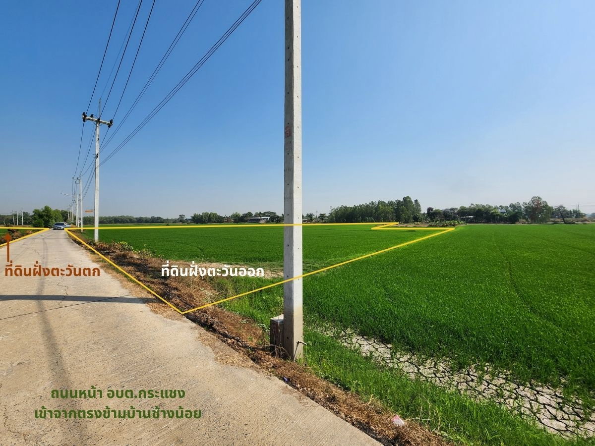 รูป 95682 - ขาย ที่ดิน 9-3-04 ไร่ ติดถนนคอนกรีต ใกล้ อบต.กระแชง อ.บางไทร - รูปที่ 8/10