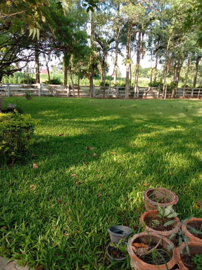 รูป ขายบ้านตากอากาศพร้อมบ้านต้นไม้ บนที่ดิน 2 ไร่ ปากช่อง - รูปที่ 88/89