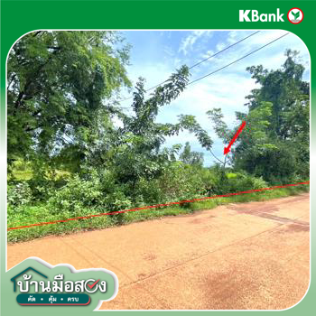 picture LAND 4600 Sq.w. Phon Na Kaeo Sakon Nakhon for 3.9M - 13/15
