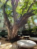 listing thumbnail image 14