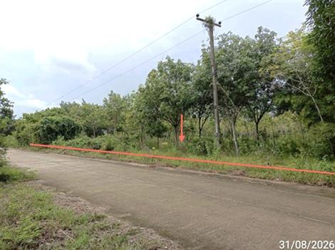 picture LAND 602 Sq.w. Selaphum Roi Et for 452,000 - 16/19