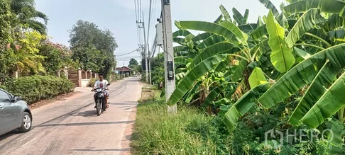 Land 6561 sqw in Nong Krathum, Mueang Nakhon Ratchasima, Nakhon Ratchasima
