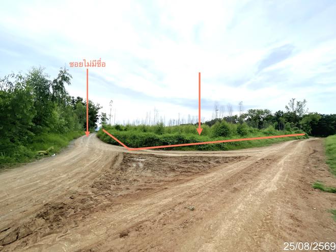 รูป ที่ดินว่างเปล่า 8869 ตร.วา หนองไผ่ เพชรบูรณ์ 3.3M - รูปที่ 4/17