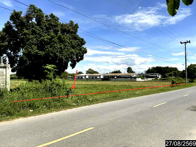 ที่ดิน บัวใหญ่ โคราช : ที่ดินว่างเปล่า 10404 ตร.วา บัวใหญ่ นครราชสีมา 19.8M