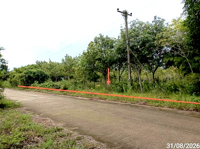 Land for sale : LAND 602 Sq.w. Selaphum Roi Et for 452,000