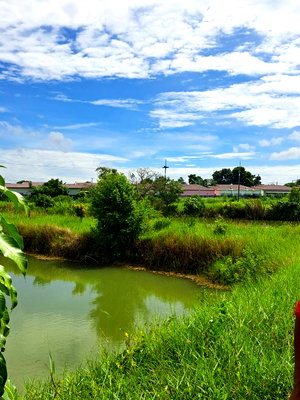 Land for sale Phanat Nikhom Chonburi : 7 Rai Land for Sale, Phanat Nikhom, Chon Buri, Ready for Sufficiency Economy