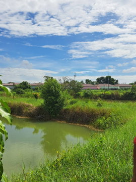 ขายที่ดิน7ไร่ พนัสนิคม ชลบุรี พร้อมทำเศรษฐกิจพอเพียง