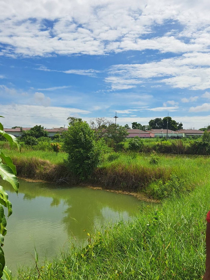 picture 7 Rai Land for Sale, Phanat Nikhom, Chon Buri, Ready for Sufficiency Economy - 1/11