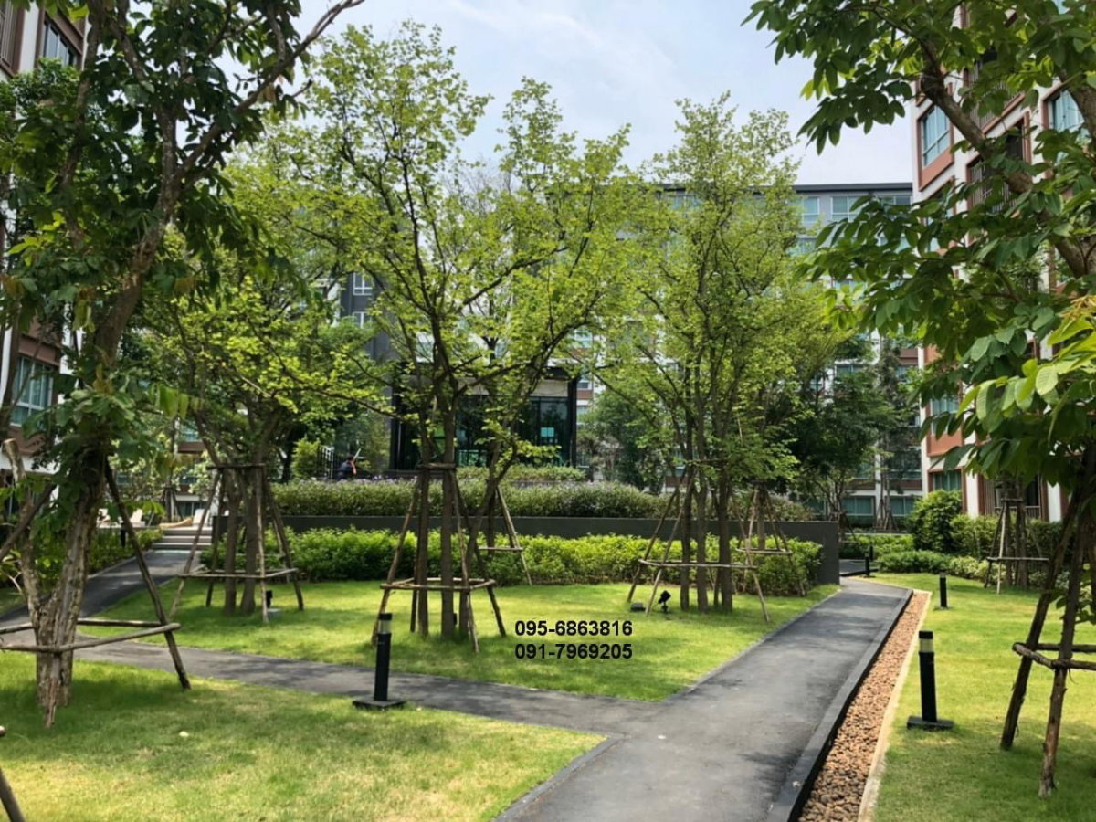 picture 🏡 D Condo Nim for Rent 📍 Building C, 3rd Floor | 37 sq.m. - 19/22
