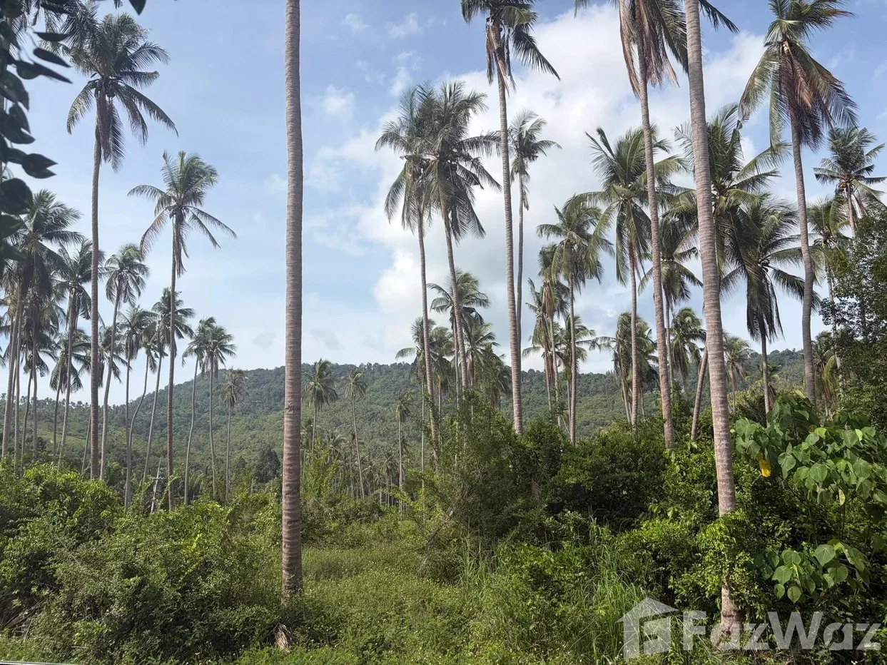 picture 3 Bedroom Villa for sale in Na Mueang, Surat Thani  6837303 - 27/28