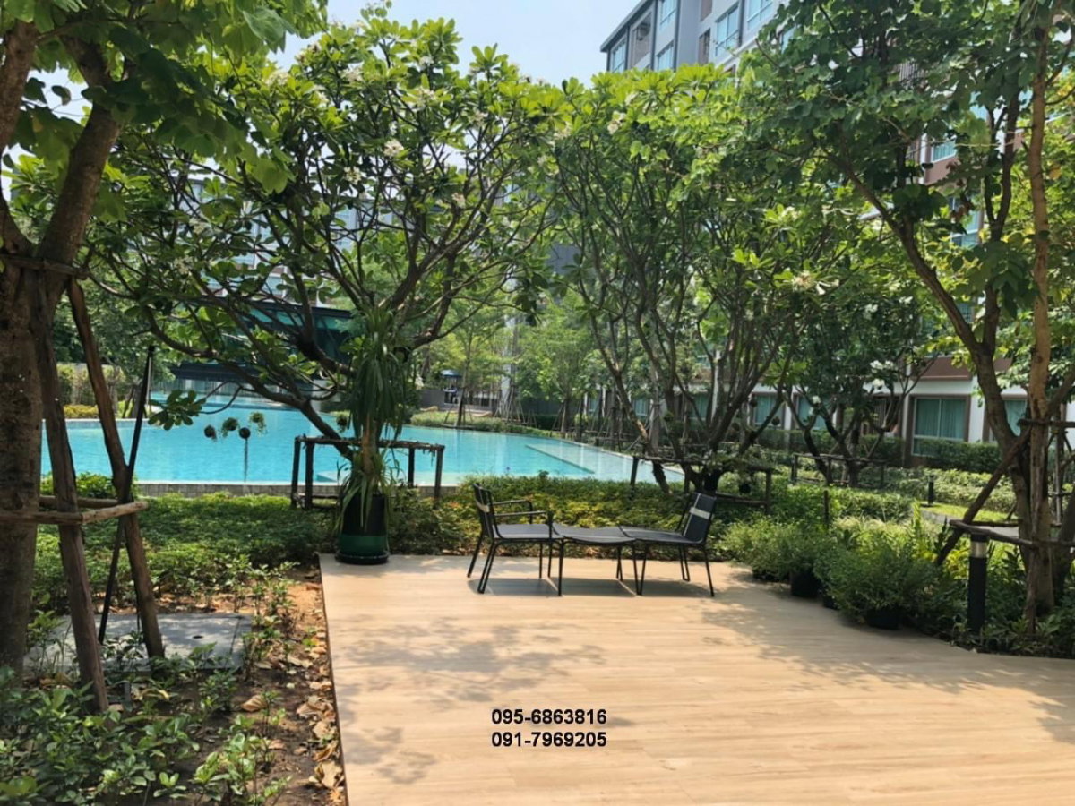 picture 🏡 D Condo Nim for Rent 📍 Building C, 3rd Floor | 37 sq.m. - 20/22