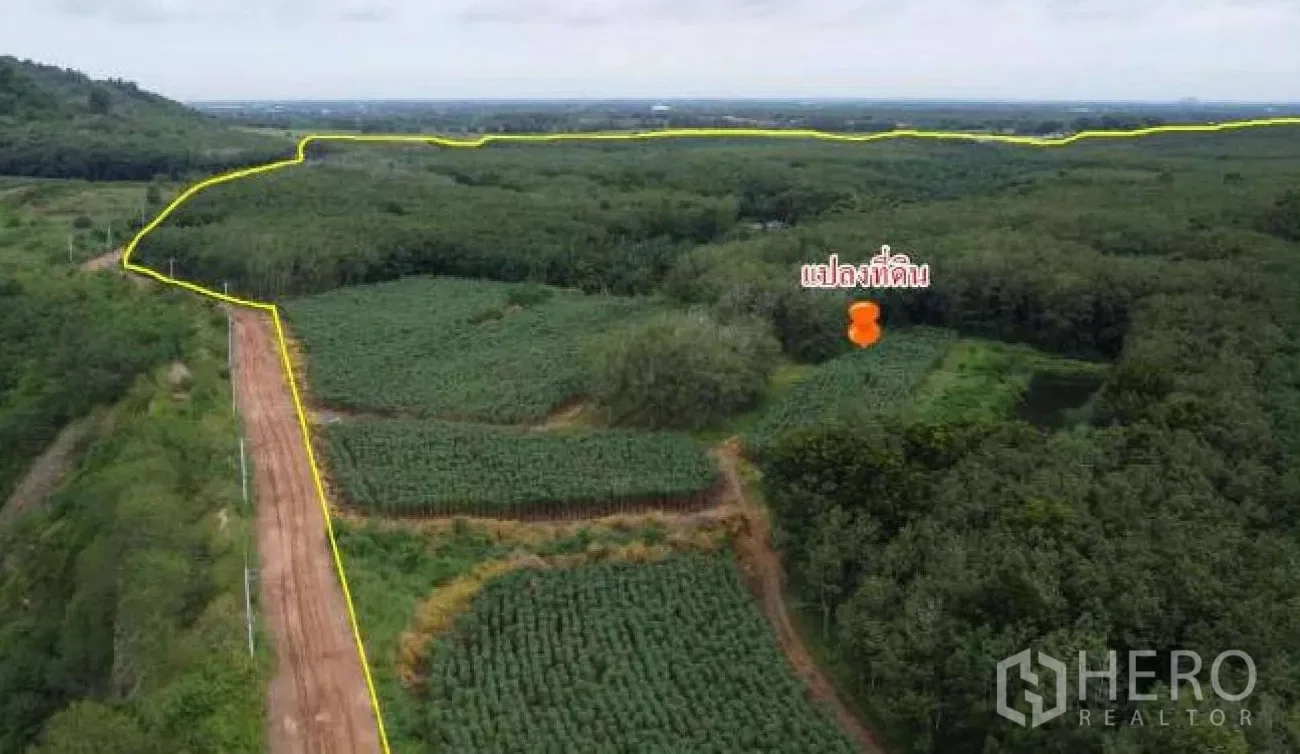 picture Land 447200 sq.w. in Nong Phai Kaeo, Ban Bueng, Chon Buri - 3/6