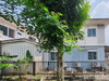listing thumbnail image 17