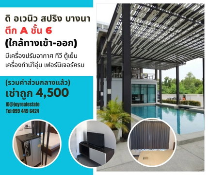 The Avenue Spring for rent the best price.
