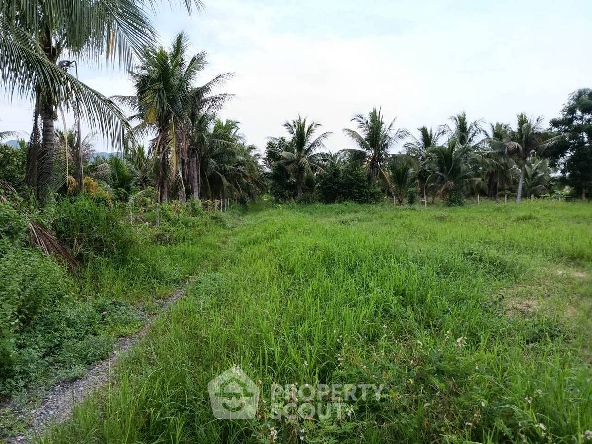 รูป ขายที่ดินทำเลอ่าวน้อย อำเภอเมืองประจวบคีรีขันธ์ (ID 3369716) - รูปที่ 5/5